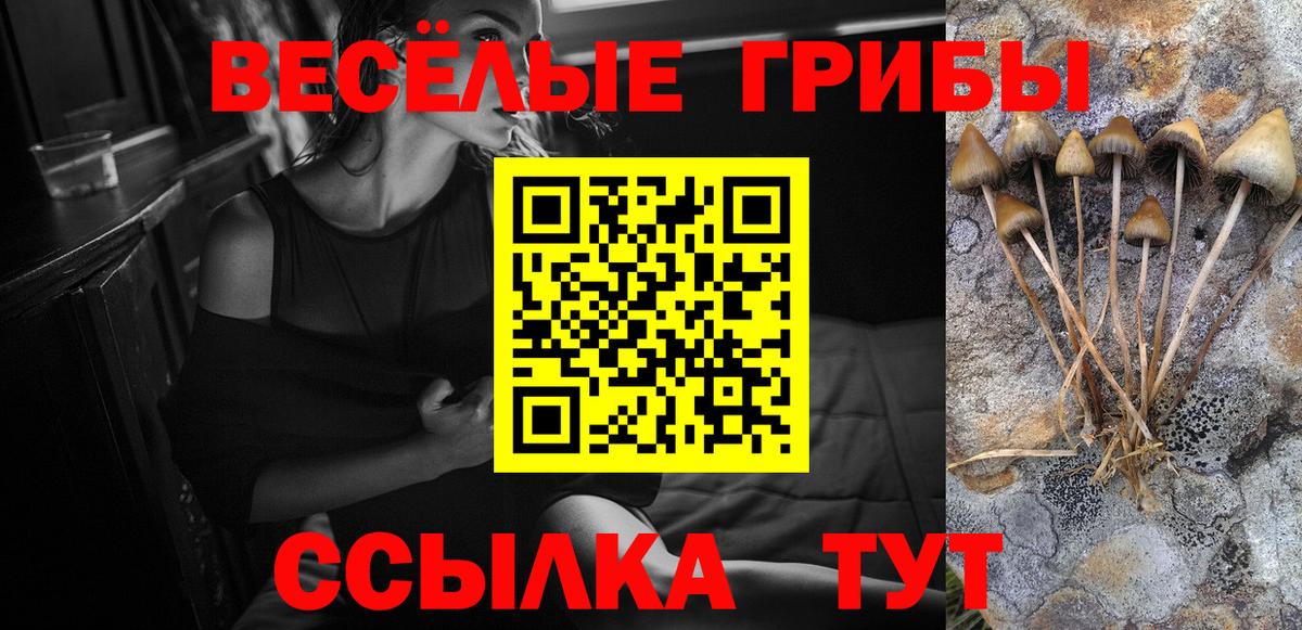 Галлюциногенные грибы прущие грибы Сызрань
