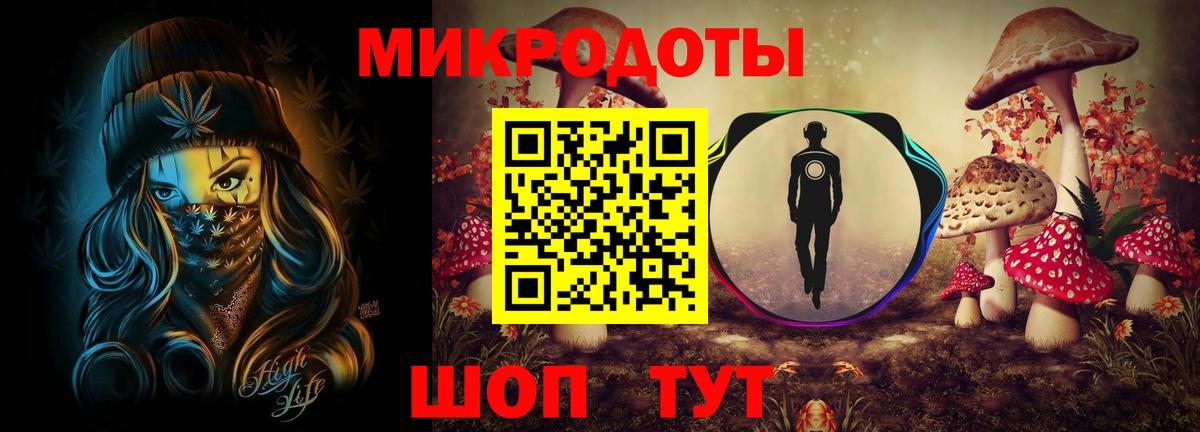Сызрань  Псилоцибиновые грибы Cubensis  Вход с VPN 
